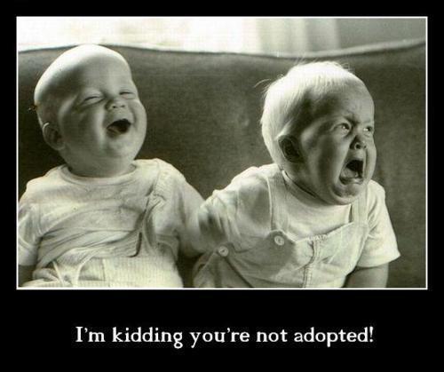 adopted